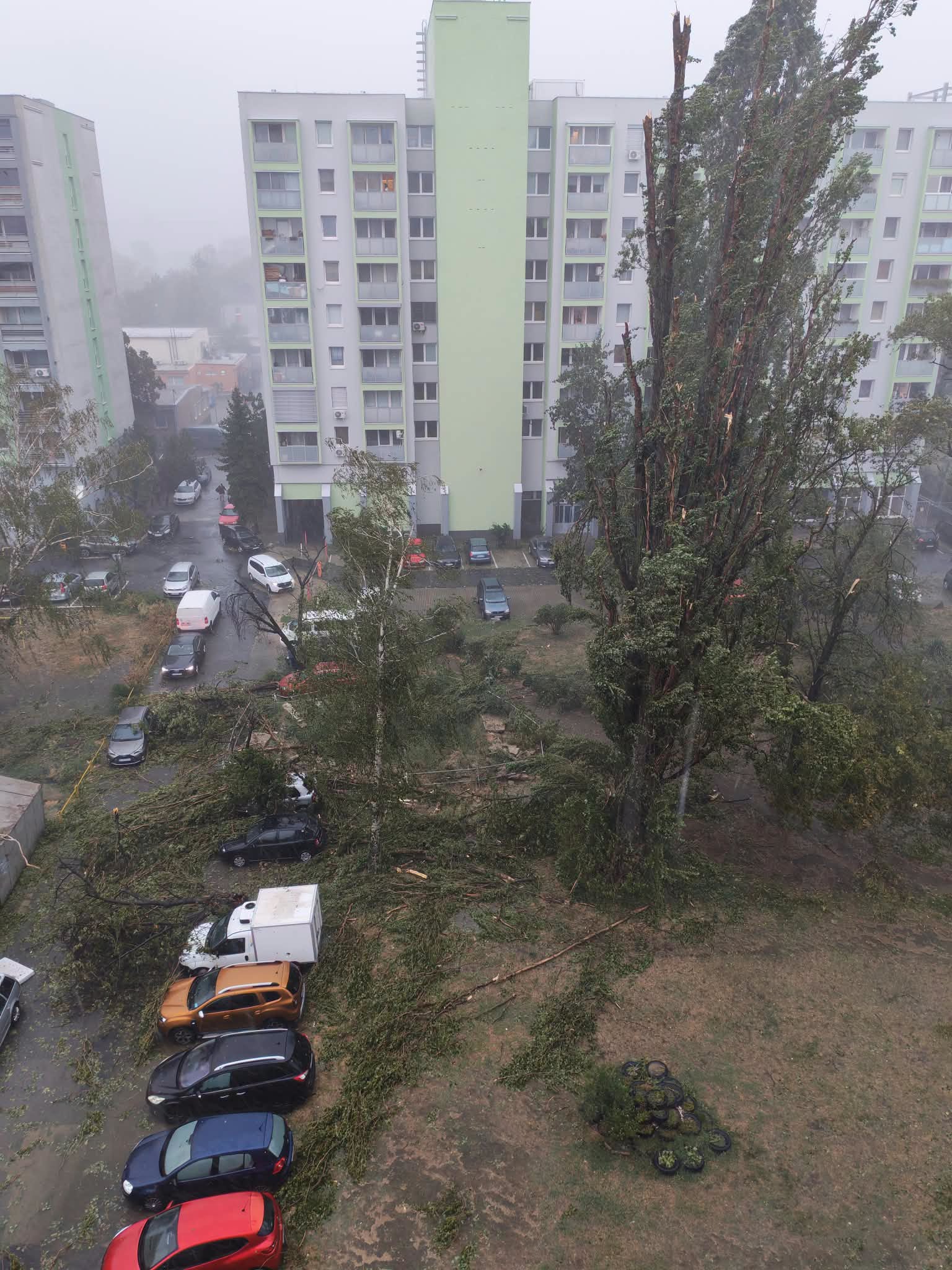 MIMORIADNE: Bratislavu zasiahla poriadna smršť! Vietor a lejak lámali všetko, čo im stálo v ceste