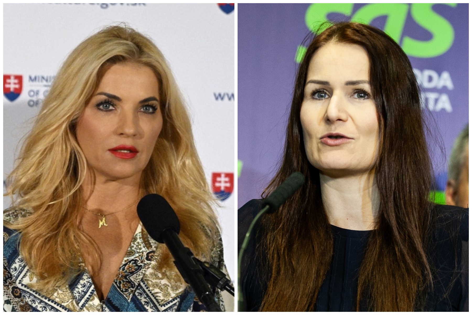 TAK TOTO JE RIADNY TRAPAS! SaS a Otvorená kultúra si vymysleli ďalšiu kauzu a zatiahli doň SNG aj Šimkovičovú. No riadne sa sekli!