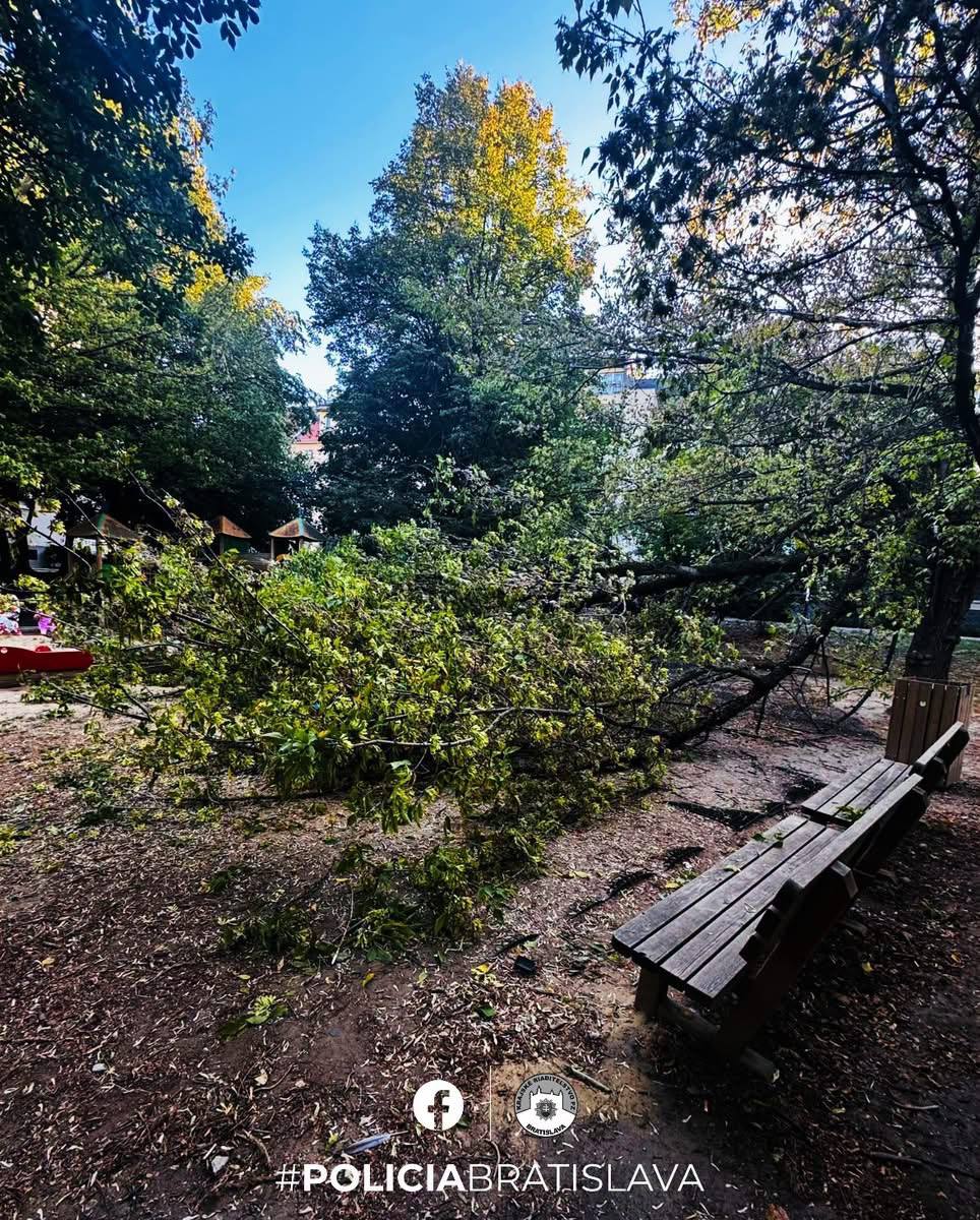 HRÔZA NA DETSKOM IHRISKU: Strom spadol na deti, tri skončili v nemocnici!