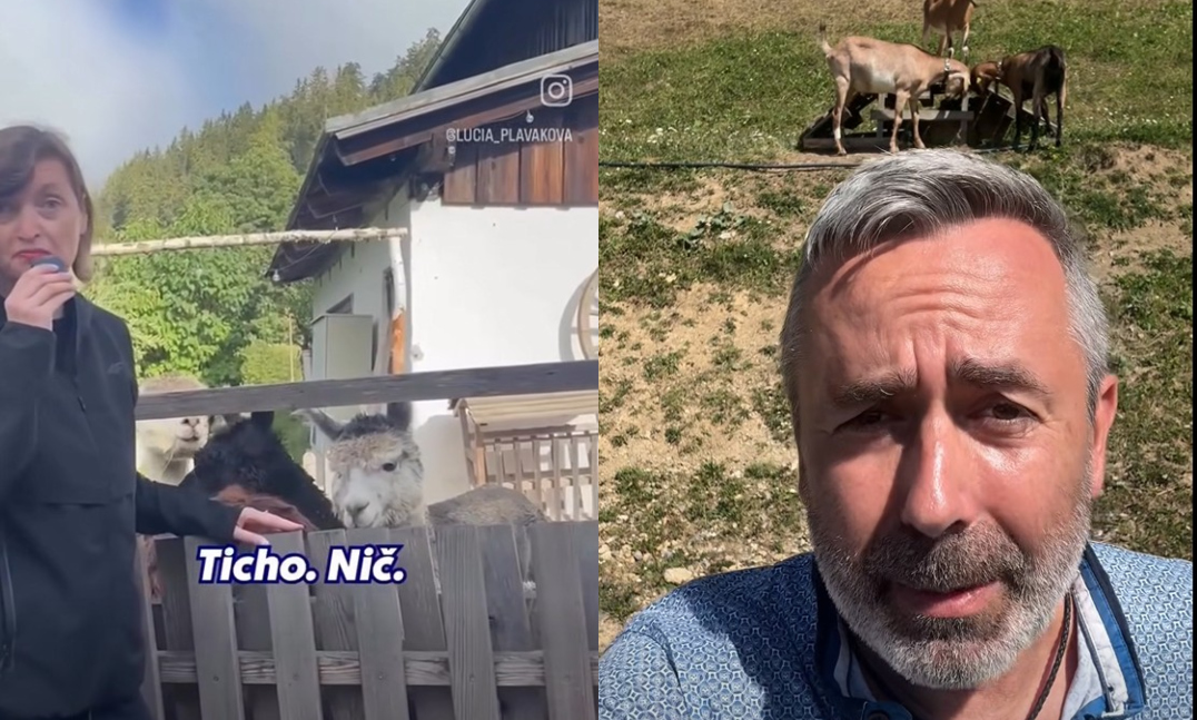 Halás vysmial Plavákovú. Sú zvieratá demokratickými aktérmi?