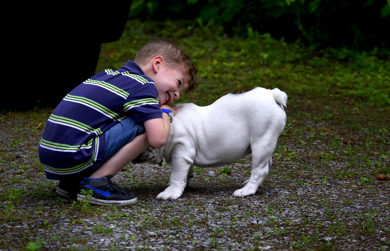 Usmievate sa na svojho psa? Pokračujte v tom, váš pes to miluje!